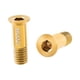 thumbnail image 2 of 2 Tornillos De Cambio Trasero De Bicicleta Para Montar En Bicicleta De Montaña, Bicicleta De Carretera, Color Dorado, 2 of 3