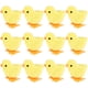 thumbnail image 1 of Juguete de peluche Wind-Up Jumping con forma de pollo, 3 nutrias, 12 unidades, 1 of 6