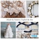 thumbnail image 3 of Vaso Sea Shell Home Sand Dollars, 50 unidades de menos de 2,54 cm, 3 of 7