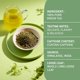 thumbnail image 3 of Té verde suelto HANDPICK 255 g sin OGM de los Himalayas, 3 of 9