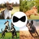 thumbnail image 5 of Pajarita formal para perros Amajiji® para perros medianos y grandes, 5 of 5