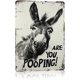 thumbnail image 1 of Letrero aluminio burro divertido 20x30 cm buen culo rústico decoración hogar humorístico granja baño retro placa cafetería, 1 of 7