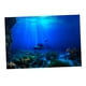 thumbnail image 1 of Etiqueta Engomada De Fondo Adhesiva De Tanques De Peces Marine 76x56cm, 1 of 5