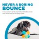 thumbnail image 2 of Outward Hound Juguete interactivo para perros 12 cm Multi‑Squeak, 2 of 6