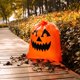 thumbnail image 3 of Bolsas para Hojas JOYIN 6 uds Calabaza Halloween, 3 of 7