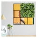 thumbnail image 2 of Jardin Vertical Hawaii, 2 of 2
