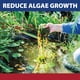 thumbnail image 4 of Algicida Pond Logic InstaFix 946 ml registrado por la EPA, 4 of 7