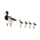 thumbnail image 1 of 5 Estacas De Pato Para Jardín, De Metal, Realistas, Para Decoración De Patio Y Granja., 1 of 5