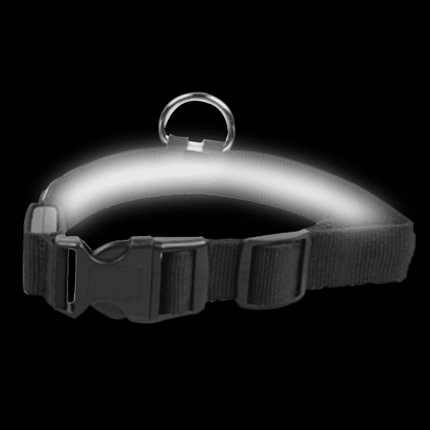 Collar LED para perro recargable por USB: collar luminoso brillante y de alta visibilidad para paseos nocturnos de mascotas.