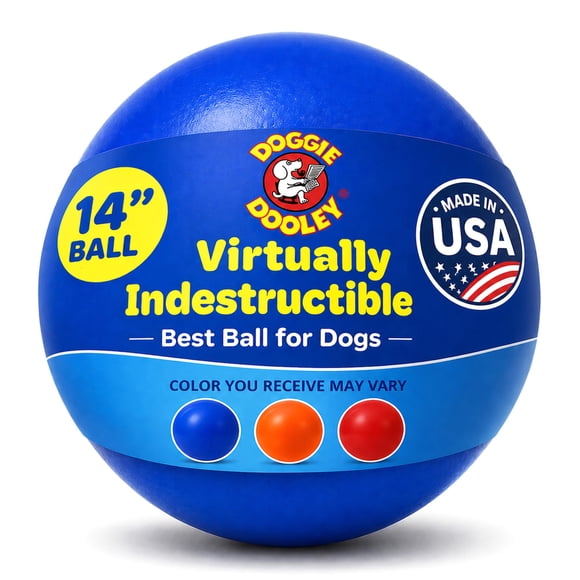 Pelota para Perro Doggie Dooley 36 cm Plástico Duro Flotante Azul