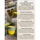 thumbnail image 2 of Ungüento de Diente de León Naturally Inspirational 57 ml en Lata, 2 of 6