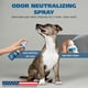 thumbnail image 2 of Bruma Neutralizadora De Olores Para Mascotas Usa Para Perros Fórmula Probiótica, 2 of 9