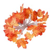 Ioensy - Cadena De Luces De Fácil Instalación Para Decoración De Otoño Para Tiendas De Cosecha De Otoño 1,5 M Usb