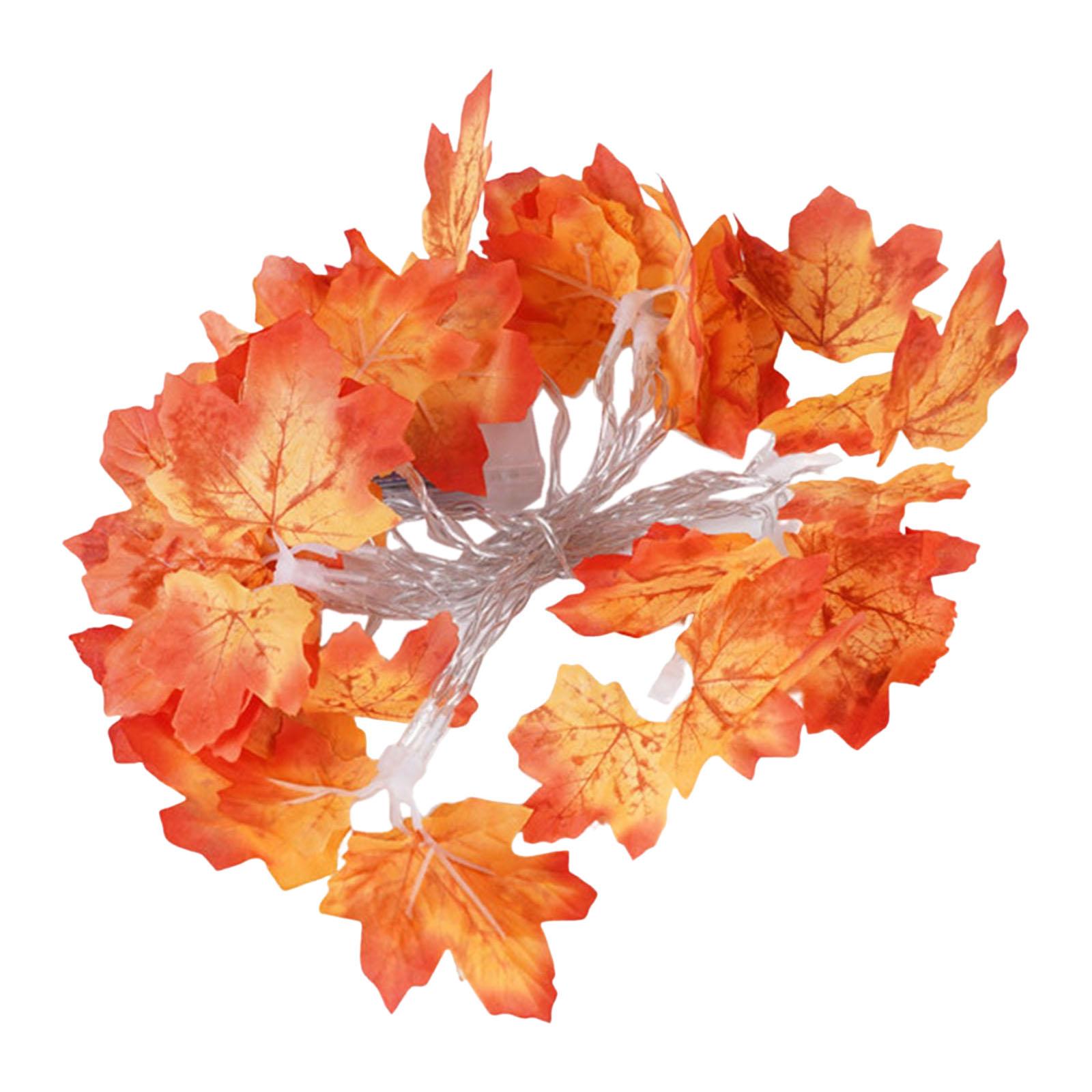 Ioensy - Cadena De Luces De Fácil Instalación Para Decoración De Otoño Para Tiendas De Cosecha De Otoño 1,5 M Usb