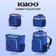 thumbnail image 4 of Bolsa térmica blanda Igloo Summit para 12 latas, color índigo eléctrico, 4 of 4