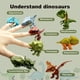thumbnail image 4 of Winbar Puppet Set de 8 Mini Dinosaurios para los Dedos, 4 of 9