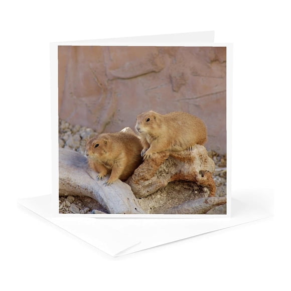 Tarjeta de felicitación 3D Rose Groundhog Day Nature Animals