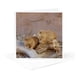 thumbnail image 1 of Tarjeta de felicitación 3D Rose Groundhog Day Nature Animals, 1 of 6