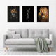 thumbnail image 2 of Cuadros Decorativos leon Pack X 3 Uds 35x50 Cm C/u, 2 of 3