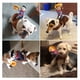 thumbnail image 2 of Disfraz de vaquero con muñeco y sombrero para perros, talla L, 2 of 3