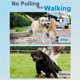 thumbnail image 2 of Prong Collar for Dogs, Dog Training Collar for Small Medium, 2 of 3