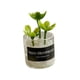 thumbnail image 4 of Mini Juguetes Para Casa De Muñecas Modelo De Paisaje Estático Modelado Mini Plantas Artificiales Estilo C, 4 of 5