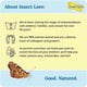 thumbnail image 4 of Repuesto de orugas vivas Insect Lore para mariposas Painted Lady, 4 of 8