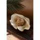 thumbnail image 1 of Concha de almeja de resina KALALOU Giant, 0,0 libras, 24,5 x 16 x 9 cm, 1 of 1