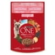 thumbnail image 1 of Alimento Húmedo Perro Adulto y Cachorro Superfoods Sabor Salmón Pouch, 85 g, 1 of 1