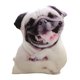 thumbnail image 4 of Cojín Para Perro, Almohada Para Regalo De Navidad, Decoración De Sofá, Accesorio De Juguete, Estilo A, 4 of 5
