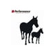 thumbnail image 3 of Alimento Para Caballos Performance Crianza - 25 Kg, 3 of 3