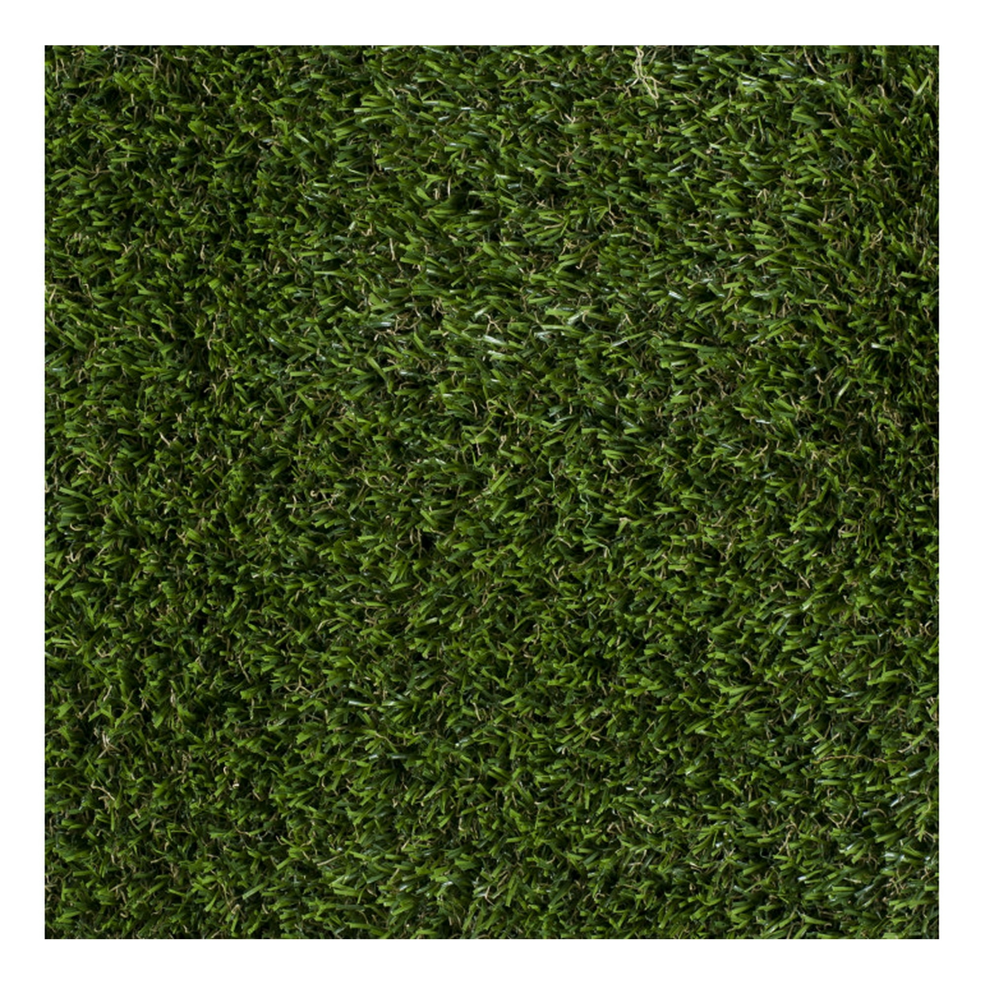 Signet - Pasto Sintetico 25mm 2x25 Metros