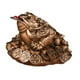 thumbnail image 1 of Figura De Rana De La Riqueza, Rana De Tres Patas Para Gabinete De Entrada, Estantería, Oficina, Bronce, 1 of 5