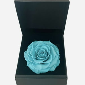 Allpa-Roseamor - Gift Box 6 Con Rosa Preservada Natural Bonita Turquesa