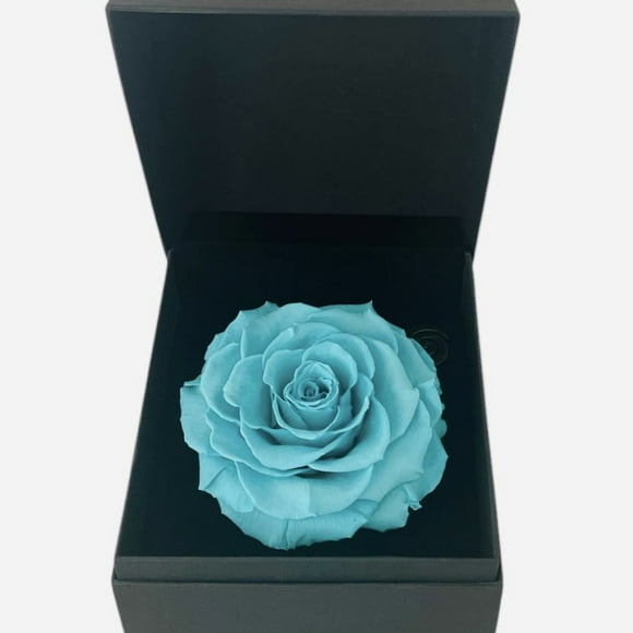 Gift Box 6 Con Rosa Preservada Natural Bonita Turquesa