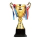 thumbnail image 5 of Premio Trofeo Metal Props Para Party Favors Event Soccer Football League Match 30cm, 5 of 5
