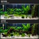 thumbnail image 5 of Madera para acuario emours 20‑25 cm forma variable, 5 of 8
