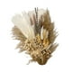 thumbnail image 1 of Ramo De Flores Secas Naturales, Adorno Elegante DIY Para Dormitorio, Mesa, Sala De Estar, Estilo C, 1 of 2