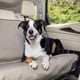 thumbnail image 2 of Funda de asiento de banco impermeable PetSafe Happy Ride para perros, 2 of 2