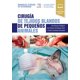 thumbnail image 2 of Cirugía de tejidos blandos de pequeños animales, 2 of 4