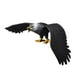 thumbnail image 1 of Modelo de Águila Simulada, Juguete Educativo para Niñas y Niños, Color Negro, 1 of 3