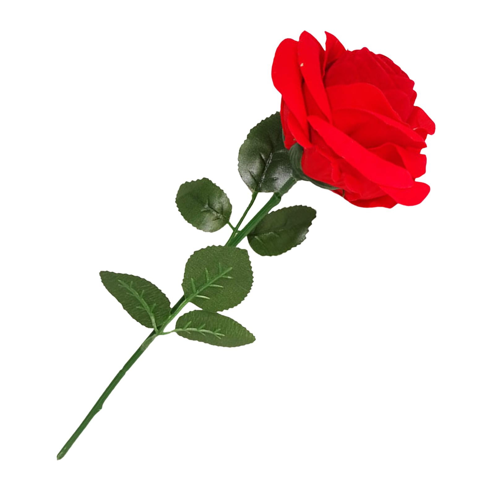 Ioensy - Romántica Caja De Anillo Con Flor De Rosa Roja, Caja De Regalos Para El Día De San Valentín Para Ceremonia Para Esposa