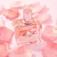 thumbnail image 2 of Elevate Your Senses: Women's Long-Lasting Perfume with Sweet Floral, Rose & Cedar Notes, 50ml 1.7fl.oz, 2 of 2