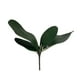 thumbnail image 1 of Hoja De Orquidea 14cm Artificial, 1 of 3