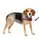thumbnail image 1 of Arnés para perros PetSafe Easy Walk No-Pull, tamaño pequeño/mediano, rojo y negro, 1 of 6