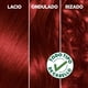 thumbnail image 3 of Coloración Nutrisse Cabello 6660 Manzana, 3 of 7