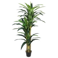 Vadell - Dracena 180 Cm