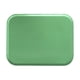 thumbnail image 3 of Bandeja De Fibra De Vidrio 35x45cm Verde Pistacho, 3 of 5