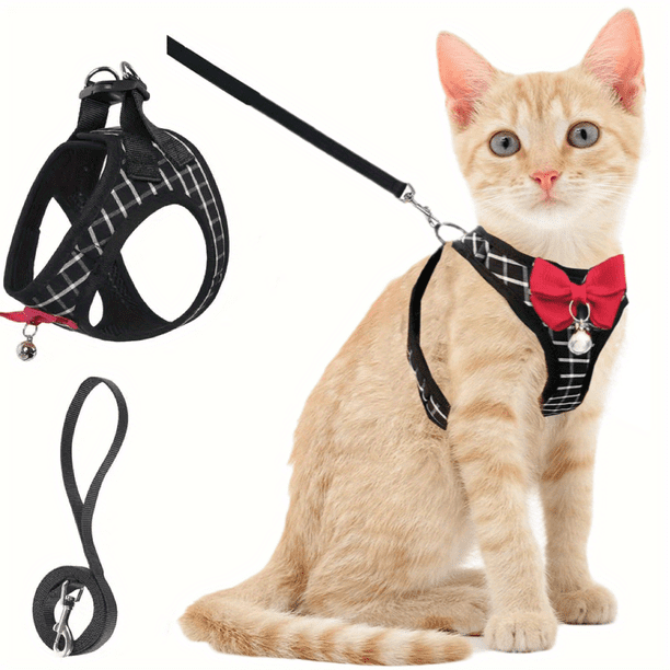Dog Cat Harness And Leash 5FT Soft Mesh Breathable Walking Escape Proof For Small Medium Cat Vest