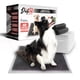 thumbnail image 1 of Sabanillas De Perro Carbon 60x60 Duke 6 Capas Aromaticas 40u Negro, 1 of 3